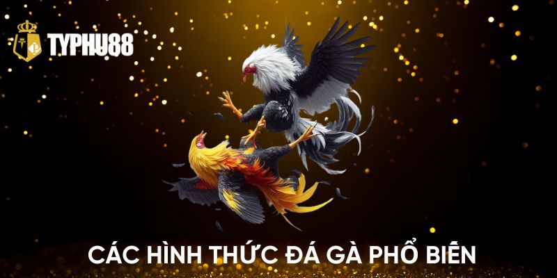 Các hình thức phổ biến