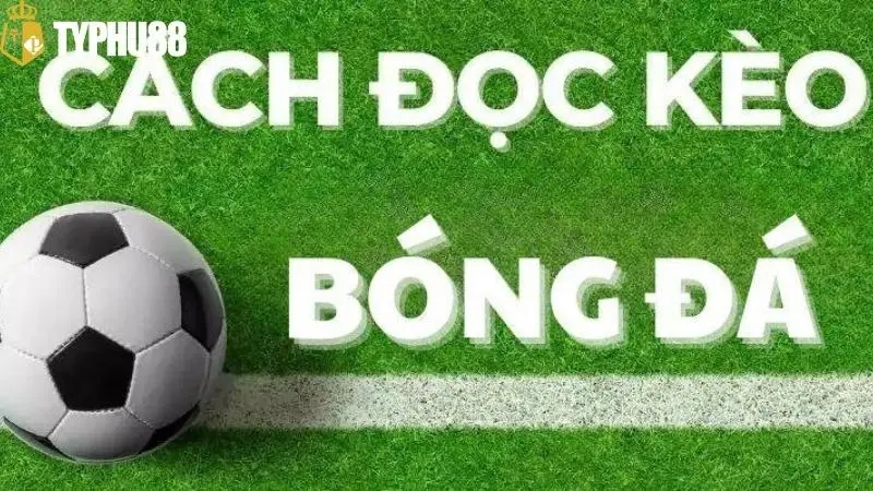 cách đọc kèo bóng đá